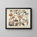 Représentaties en nauwkeurige beschrijvingen van eetbare, schadelijke en verdachte paddenstoelen Pl40 - J V Krombholz — ingelijst kunstwerk aan de muur