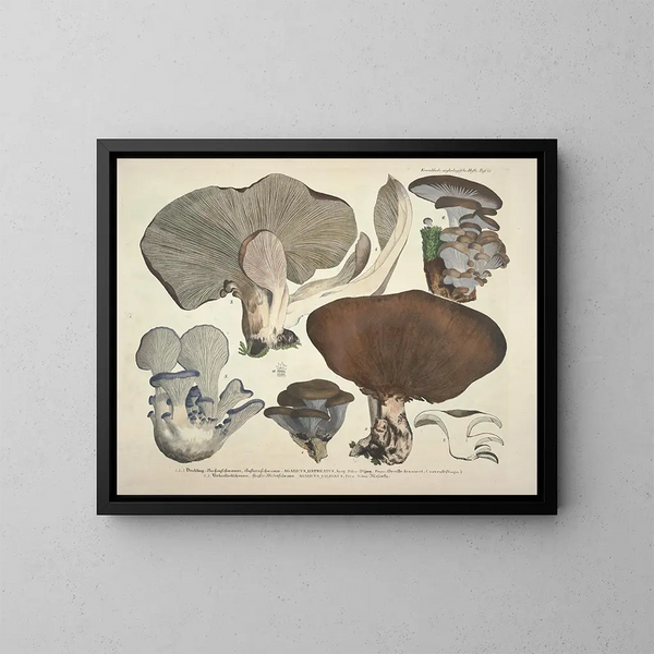 Représentaties en nauwkeurige beschrijvingen van eetbare, schadelijke en verdachte paddenstoelen Pl41 - J V Krombholz — ingelijst kunstwerk aan de muur