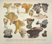Getrouwe weergaven en beschrijvingen van eetbare, schadelijke en verdachte paddenstoelen Pl45 - J V Krombholz — weergave van het kunstwerk