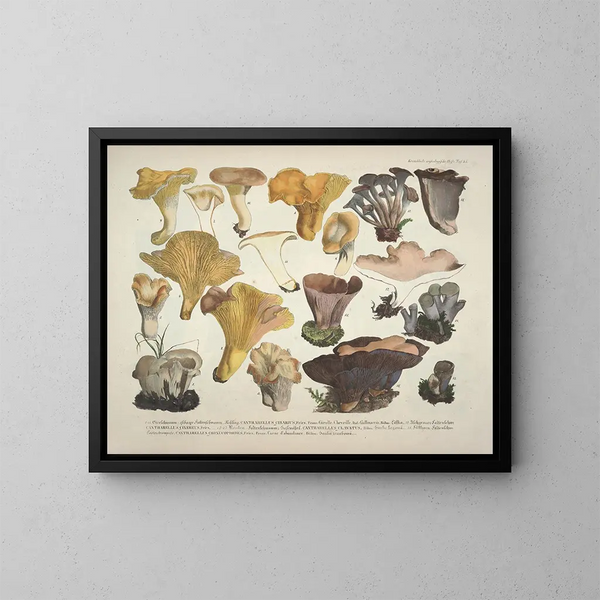 Getrouwe weergaven en beschrijvingen van eetbare, schadelijke en verdachte paddenstoelen Pl45 - J V Krombholz — ingelijst kunstwerk aan de muur
