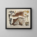 Reproducties getrouwe weergaven en beschrijvingen van eetbare, schadelijke en verdachte paddenstoelen Pl46 - J V Krombholz | Schilderij — ingelijst kunstwerk aan de muur