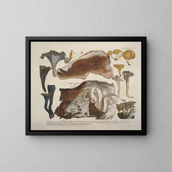 Reproducties getrouwe weergaven en beschrijvingen van eetbare, schadelijke en verdachte paddenstoelen Pl46 - J V Krombholz | Schilderij — ingelijst kunstwerk aan de muur