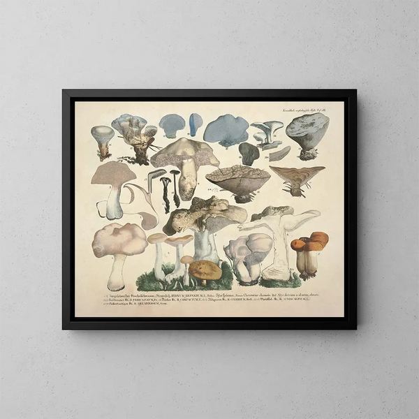 Reproducties van getrouwe weergaven en beschrijvingen van eetbare, schadelijke en verdachte paddenstoelen Pl50 - J V Krombholz | Schilderij — ingelijst kunstwerk aan de muur