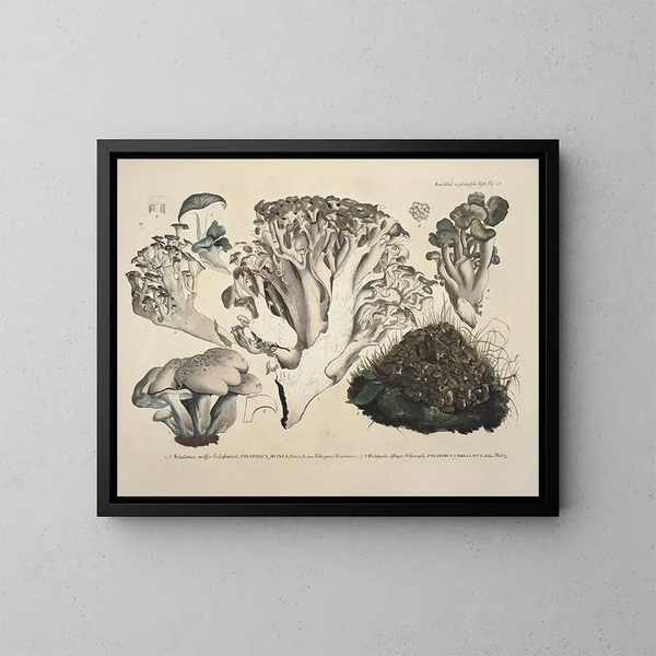 Reproducties van getrouwe weergaven en beschrijvingen van eetbare, schadelijke en verdachte paddenstoelen Pl52 - J V Krombholz | Schilderij — ingelijst kunstwerk aan de muur