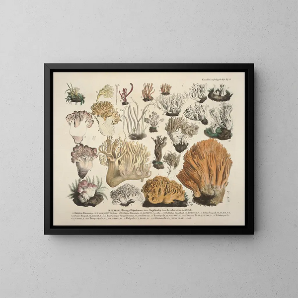 Getrouwe weergaven en beschrijvingen van eetbare, schadelijke en verdachte paddenstoelen Pl53 - J V Krombholz — ingelijst kunstwerk aan de muur