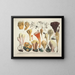 Getrouwe weergaven en beschrijvingen van eetbare, schadelijke en verdachte paddenstoelen Pl54 - J V Krombholz — ingelijst kunstwerk aan de muur