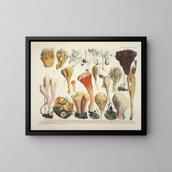 Getrouwe weergaven en beschrijvingen van eetbare, schadelijke en verdachte paddenstoelen Pl54 - J V Krombholz — ingelijst kunstwerk aan de muur