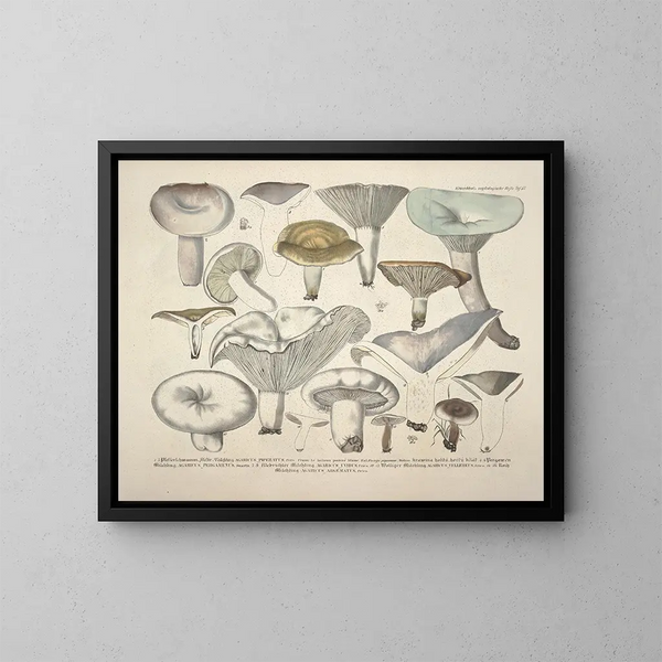 Getrouwe weergaven en beschrijvingen van eetbare, schadelijke en verdachte paddenstoelen Pl57 - J V Krombholz — ingelijst kunstwerk aan de muur