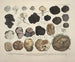 Getrouwe weergaven en beschrijvingen van eetbare, schadelijke en verdachte paddenstoelen Pl59 - J V Krombholz — weergave van het kunstwerk
