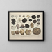Getrouwe weergaven en beschrijvingen van eetbare, schadelijke en verdachte paddenstoelen Pl59 - J V Krombholz — ingelijst kunstwerk aan de muur