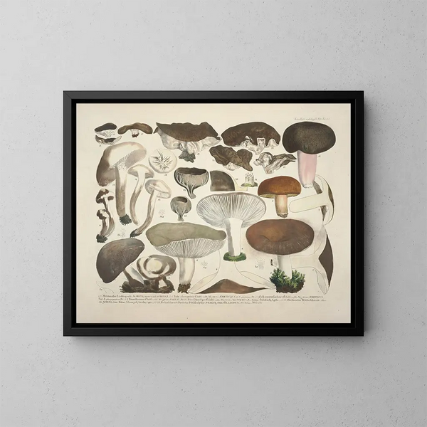 Getrouwe weergaven en beschrijvingen van eetbare, schadelijke en verdachte paddenstoelen Pl61 - J V Krombholz — ingelijst kunstwerk aan de muur