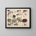 Getrouwe weergaven en beschrijvingen van eetbare, schadelijke en verdachte paddenstoelen Pl64 - J V Krombholz — ingelijst kunstwerk aan de muur