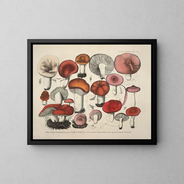 Reproducties van getrouwe weergaven en beschrijvingen van eetbare, schadelijke en verdachte paddenstoelen Pl65 - J V Krombholz — ingelijst kunstwerk aan de muur