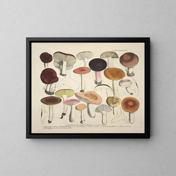Représentaties en nauwkeurige beschrijvingen van eetbare, schadelijke en verdachte paddenstoelen Pl66 - J V Krombholz — ingelijst kunstwerk aan de muur