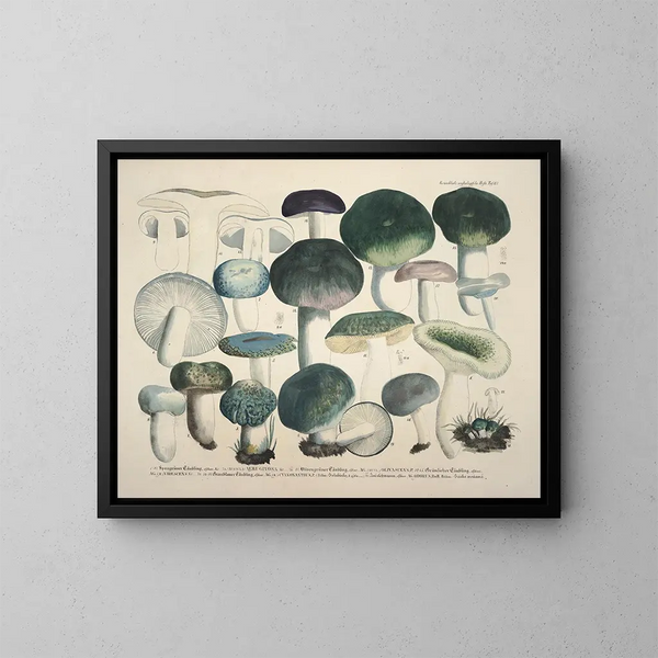 Reproducties van getrouwe weergaven en beschrijvingen van eetbare, schadelijke en verdachte paddenstoelen Pl67 - J V Krombholz — ingelijst kunstwerk aan de muur