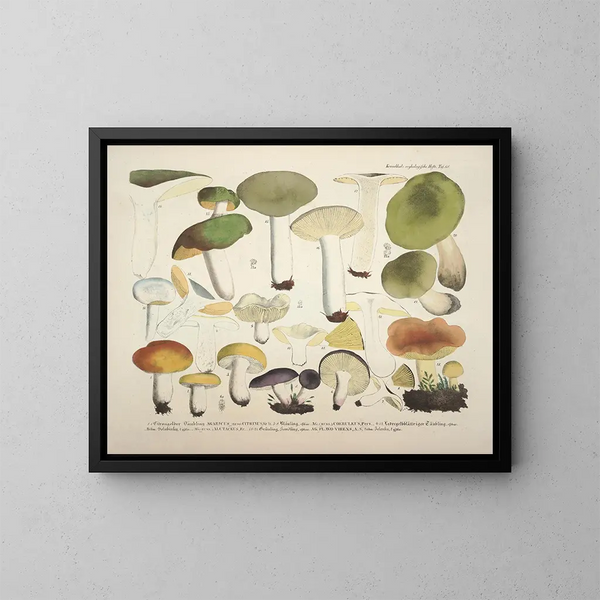 Getrouwe weergaven en beschrijvingen van eetbare, schadelijke en verdachte paddenstoelen Pl68 - J V Krombholz — ingelijst kunstwerk aan de muur