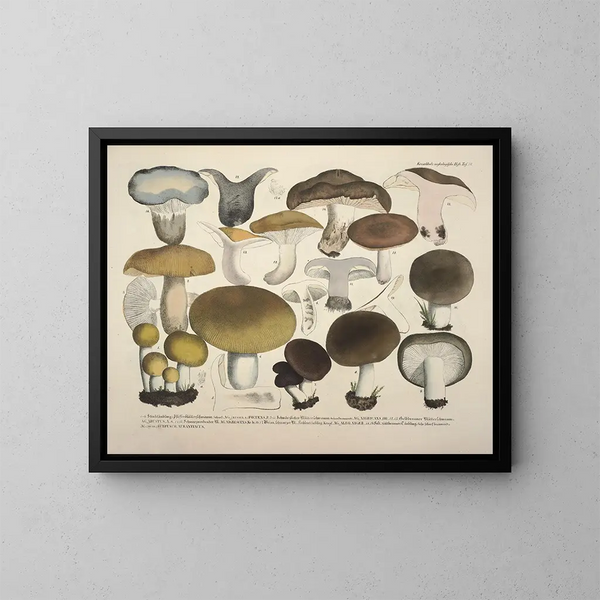 Représentaties en nauwkeurige beschrijvingen van eetbare, schadelijke en verdachte paddenstoelen Pl70 - J V Krombholz — ingelijst kunstwerk aan de muur