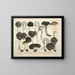 Getrouwe weergaven en beschrijvingen van eetbare, schadelijke en verdachte paddenstoelen Pl72 - J V Krombholz — ingelijst kunstwerk aan de muur