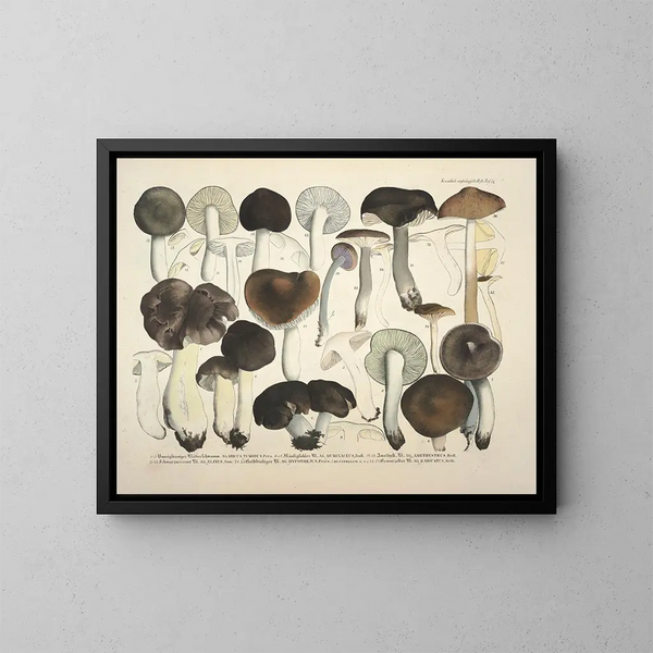 Getrouwe weergaven en beschrijvingen van eetbare, schadelijke en verdachte paddenstoelen Pl72 - J V Krombholz — ingelijst kunstwerk aan de muur