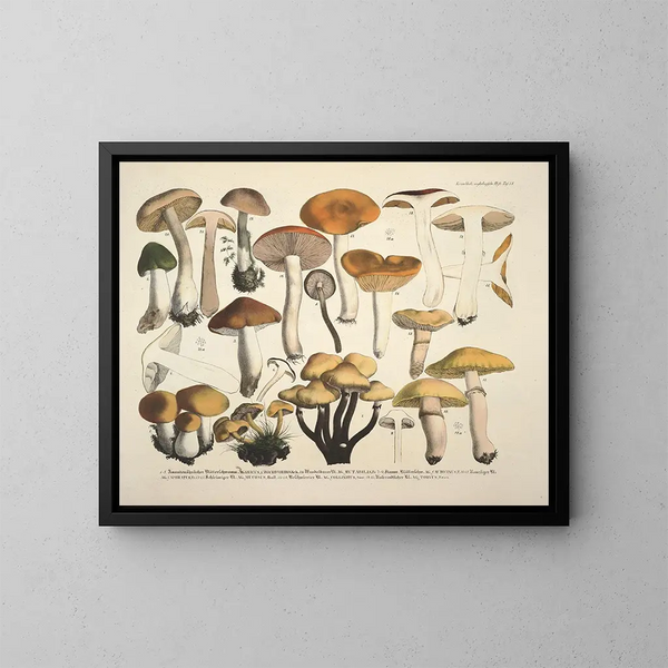 Représentaties en nauwkeurige beschrijvingen van eetbare, schadelijke en verdachte paddenstoelen Pl73 - J V Krombholz — ingelijst kunstwerk aan de muur