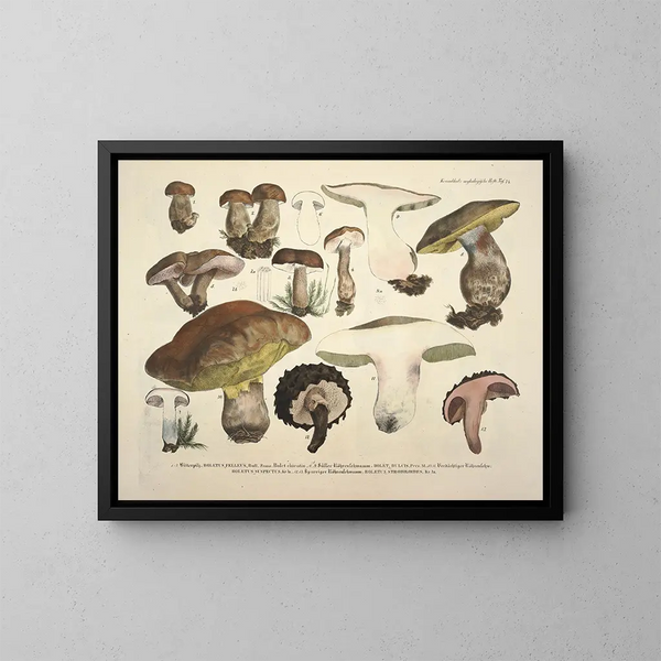Getrouwe weergaven en beschrijvingen van eetbare, schadelijke en verdachte paddenstoelen Pl74 - J V Krombholz — ingelijst kunstwerk aan de muur
