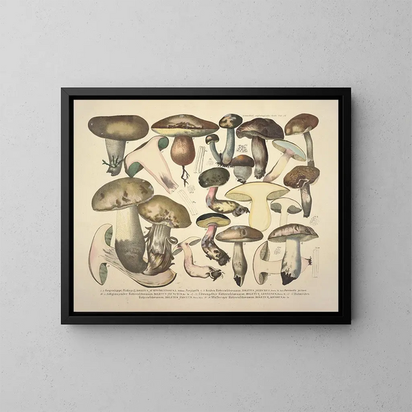 Représentaties en nauwkeurige beschrijvingen van eetbare, schadelijke en verdachte paddenstoelen Pl76 - J V Krombholz — ingelijst kunstwerk aan de muur