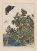 Observaties nauwkeurig van vele kleine gemetamorfoseerde dieren Pl24 - Jacob L'Admiral — weergave van het kunstwerk