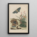 L: Nauwkeurige waarnemingen van vele kleine getransformeerde dieren kunstdruk Pl25 - Jacob L'Admiral — ingelijst kunstwerk aan de muur