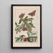 L Observaties nauwkeurig over de transformaties van vele insecten of kleine gemetamorphoseerde dieren Pl15 - Jacob L'Admiral — ingelijst kunstwerk aan de muur