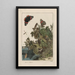 Nauwkeurige observaties over de transformaties van vele metamorfoseerde insecten of kleine dieren Pl24 - Jacob L'Admiral — ingelijst kunstwerk aan de muur