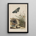 Nauwkeurige observaties over de transformaties van vele metamorfoseerde insecten of kleine dieren Pl25 - Jacob L'Admiral — ingelijst kunstwerk aan de muur