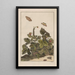 Nauwkeurige observaties over de transformaties van vele metamorfoseerde insecten of kleine dieren Pl27 - Jacob L'Admiral — ingelijst kunstwerk aan de muur
