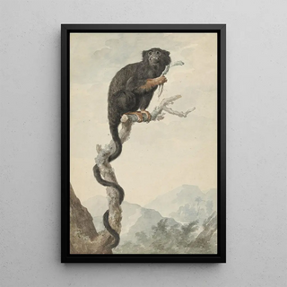 Jacob Perkois - A Redhanded Tamarin.webp