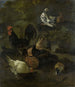 Een haan, kippen, duiven en een marmot - Jacomo Victors — weergave van het kunstwerk