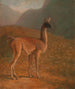 Guanaco Painting - Jacques-Laurent Agasse — artwork view