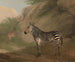 Zebra - Jacques-Laurent Agasse — weergave van het kunstwerk