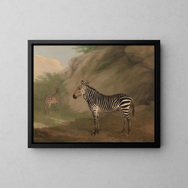 Zebra - Jacques-Laurent Agasse — ingelijst kunstwerk aan de muur