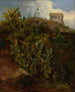 Tour en cactus - Jacques-Raymond Brascassat — weergave van het kunstwerk