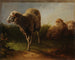 Drie schapen - Jacques-Raymond Brascassat — weergave van het kunstwerk