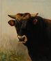van Tête de bœuf noir - Jacques-Raymond Brascassat — weergave van het kunstwerk