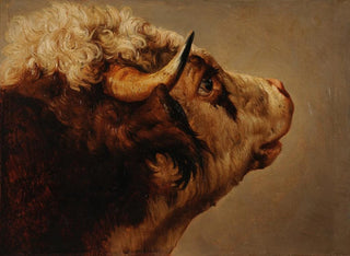 JacquesRaymond Brascassat - Tte de vache.webp