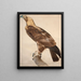 L'Aigle de Thèbes - Jacques Barraband — ingelijst kunstwerk aan de muur