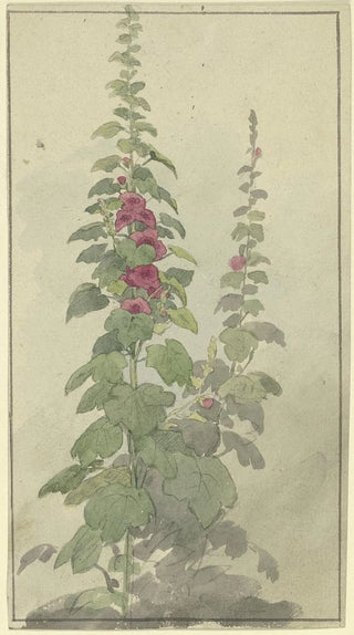 Jakob Becker - Rosellas.webp