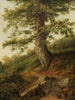 Oud olijfboom bij Camaldoli - Jakob Philipp Hackert — weergave van het kunstwerk
