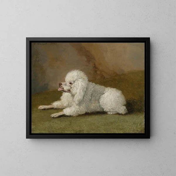 Portret van een poedel - Jakob Philipp Hackert — ingelijst kunstwerk aan de muur