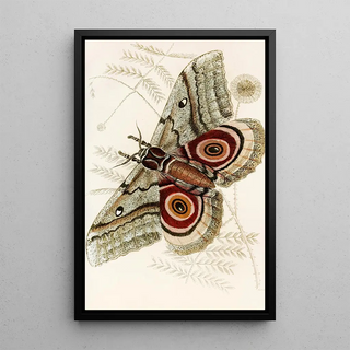 James Duncan - Saturnia Isis.webp