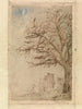 Acacia - James Ensor — weergave van het kunstwerk