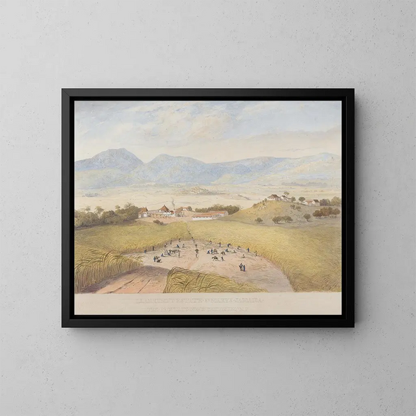 van het Domaine de Llanrumny, Sainte-Marie, Jamaica - James Hakewill — ingelijst kunstwerk aan de muur