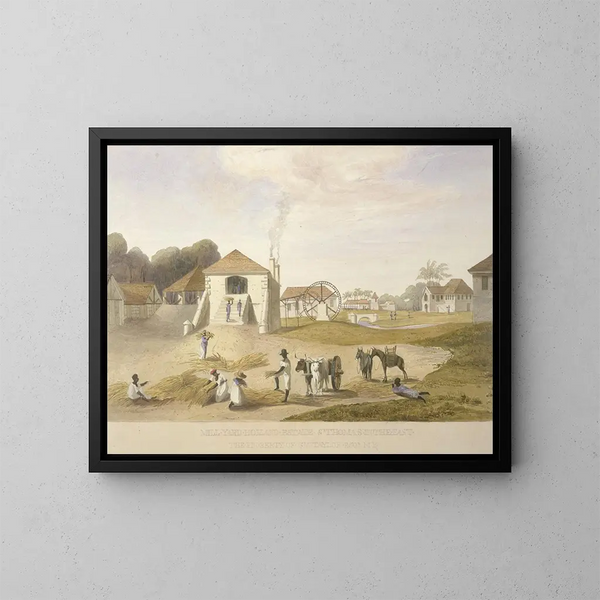 Binnenplaats van de molen, Hollandse landgoed, Saint-Thomas aan de Oostkant - James Hakewill — ingelijst kunstwerk aan de muur