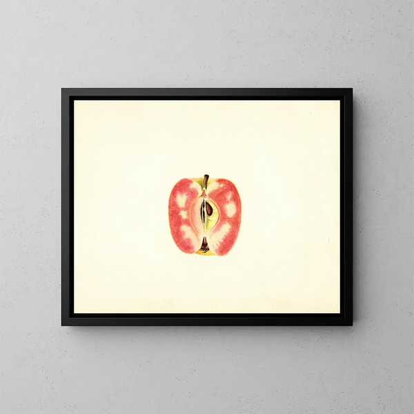 Appel domestique Verrassing - James Marion Shull — ingelijst kunstwerk aan de muur